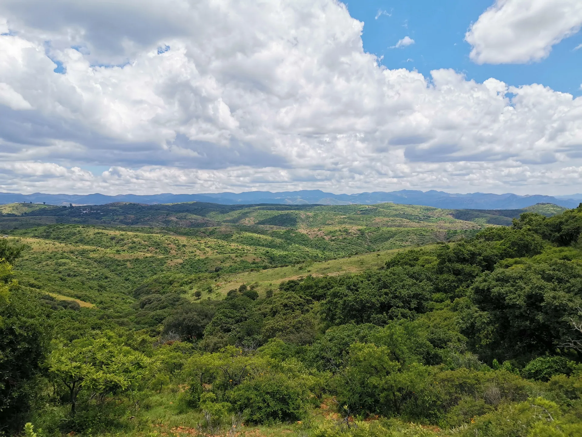 Open land at Apolonia, Near Michel Camp