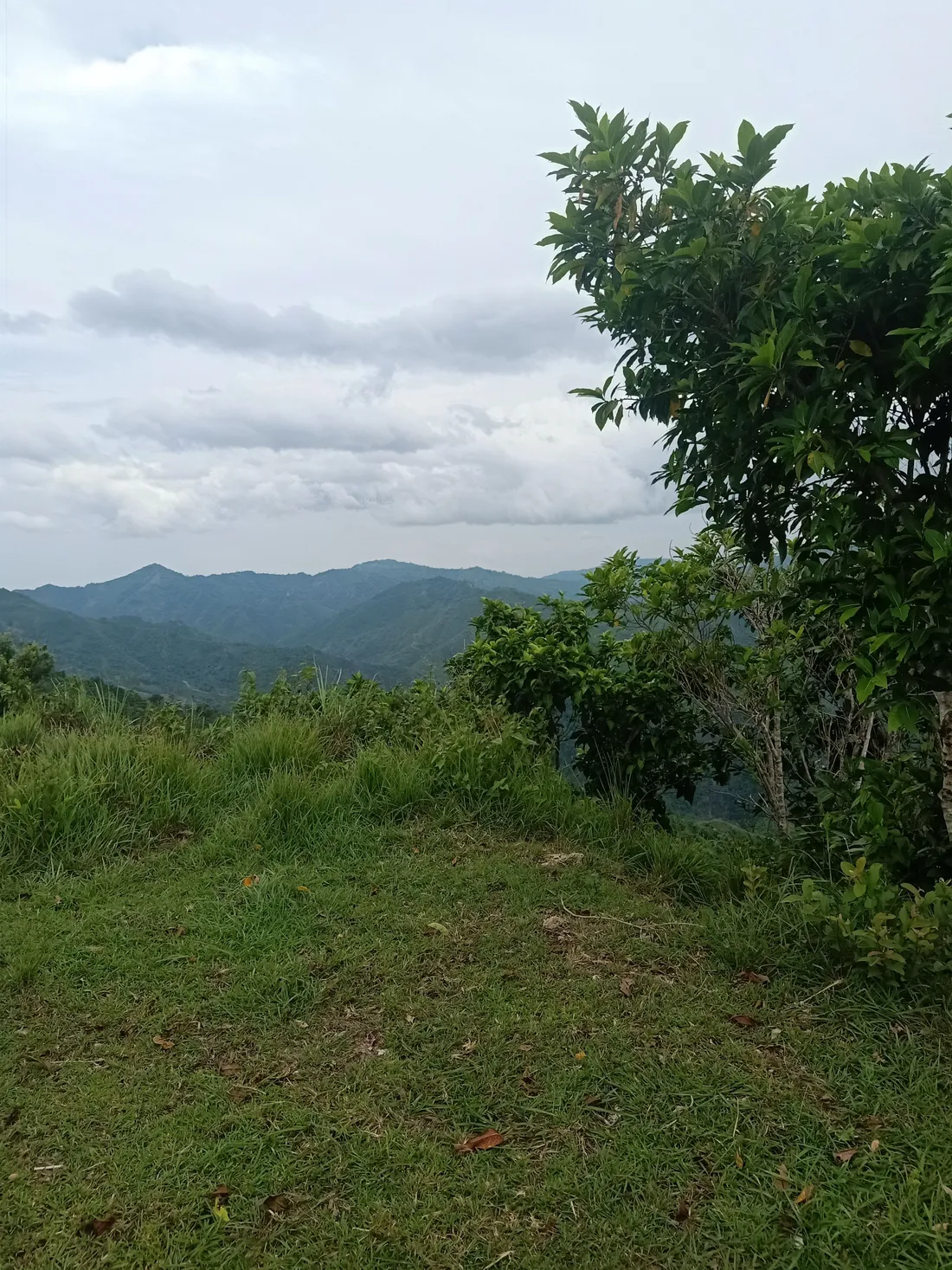 View 3 of the land and surroundings at Miotso